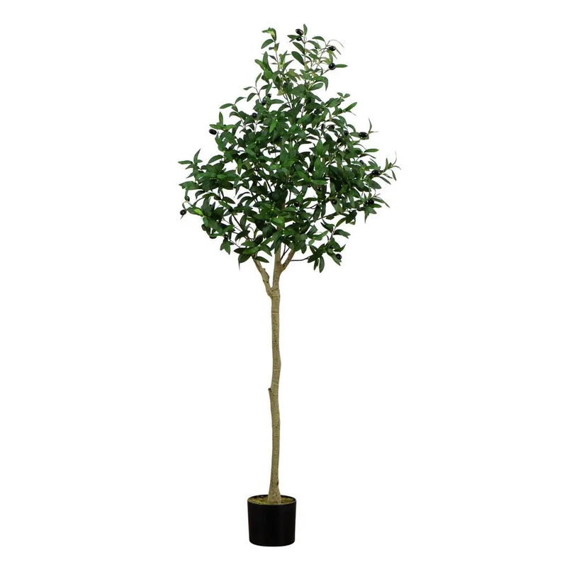 hubert3558838