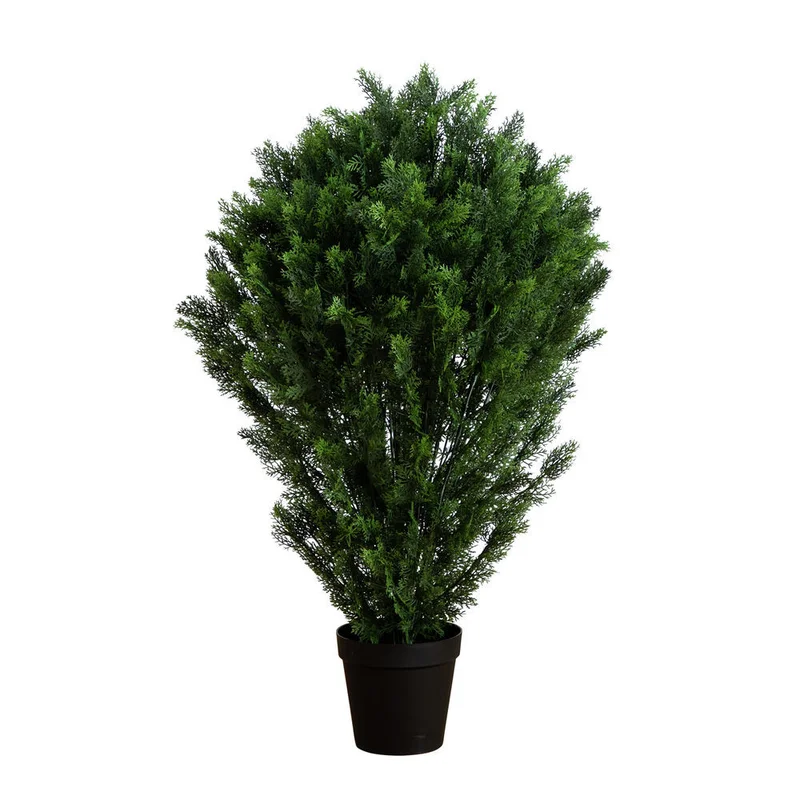 hubert3559634