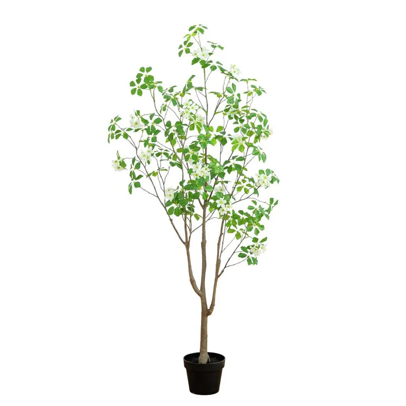hubert3562072