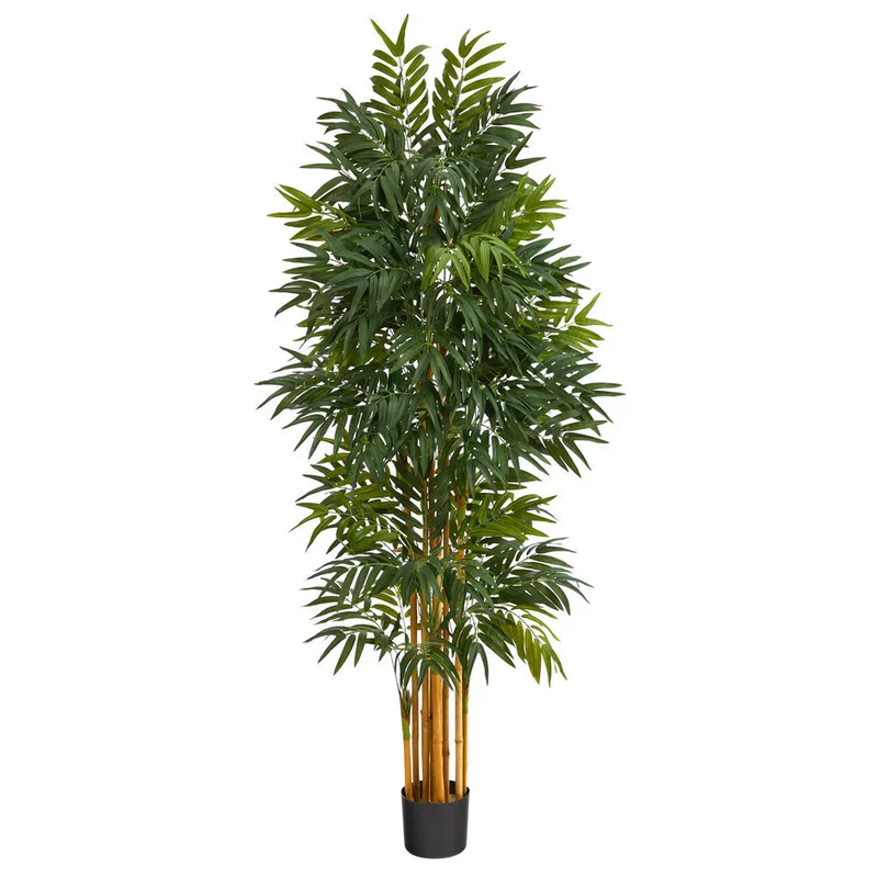 hubert3567244