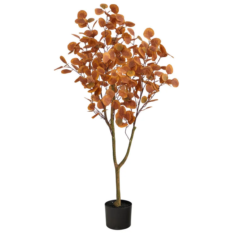 hubert3572130